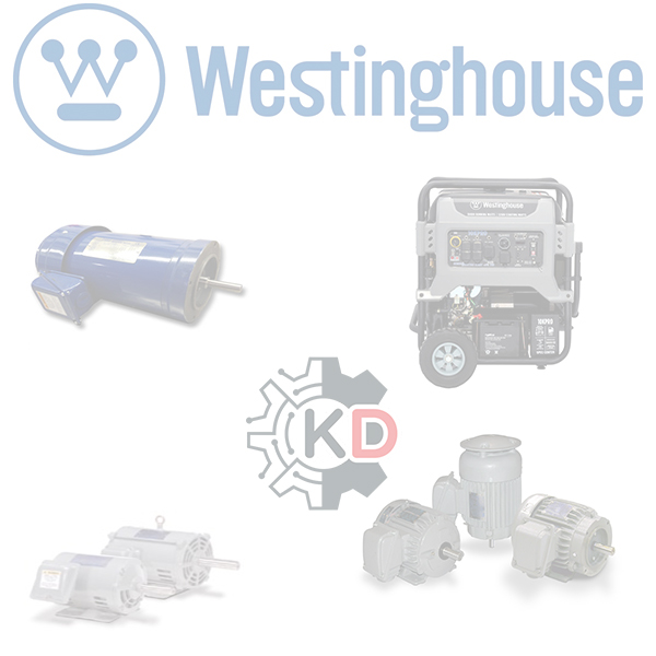 Westinghouse ZE-100