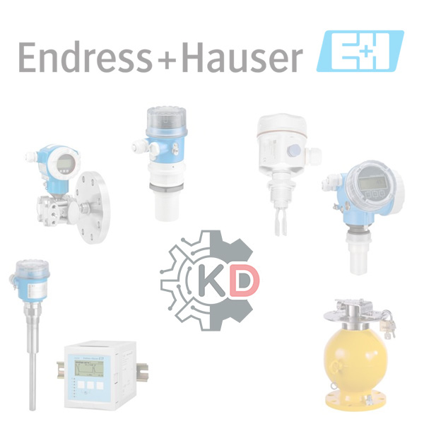 Endress-Hauser Multicap T dc11ten-aa11a1bka1 850mm