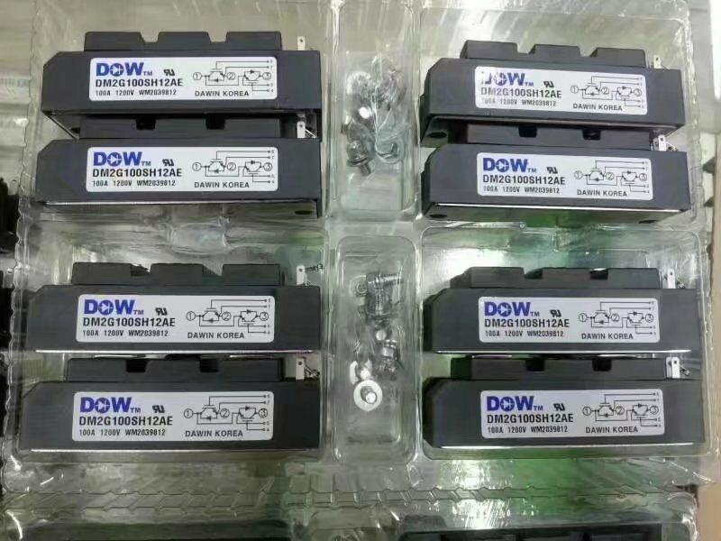 IGBT DM2G100SH12AE